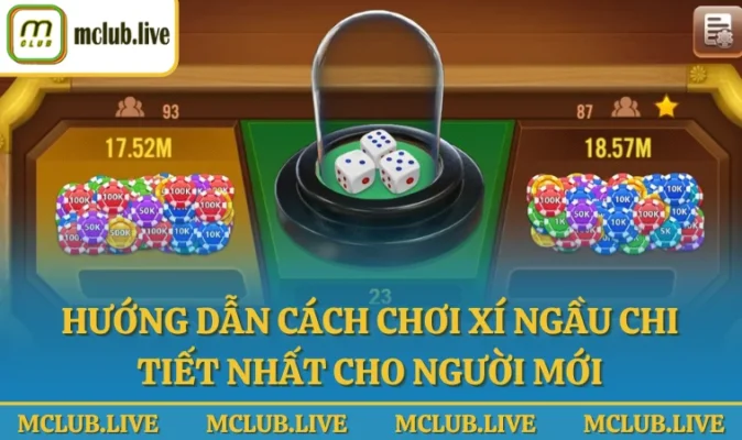 Hướng dẫn cách chơi xí ngầu chi tiết nhất cho người mới